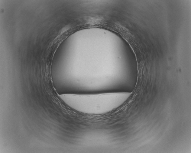 X0000073861158200608101020