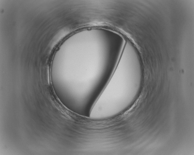 X0000073861171200608101020