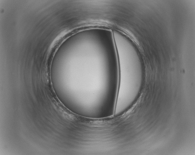 X0000073861172200608101020