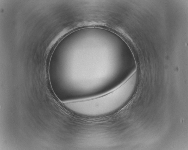 X0000073861173200608101020