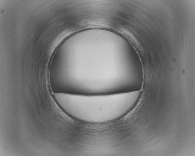 X0000073861182200608101020