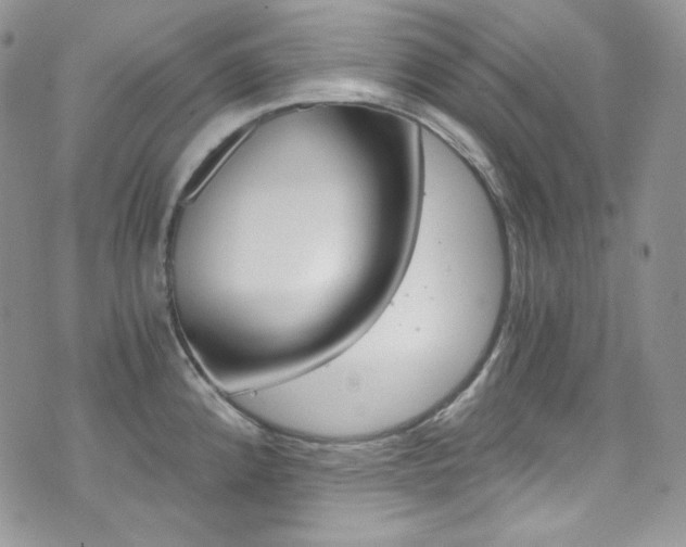X0000073861192200608101020
