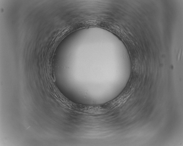 X0000073861201200608101019