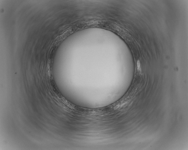 X0000073861203200608101019