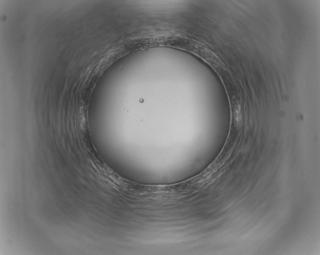 X0000073861204200608101019