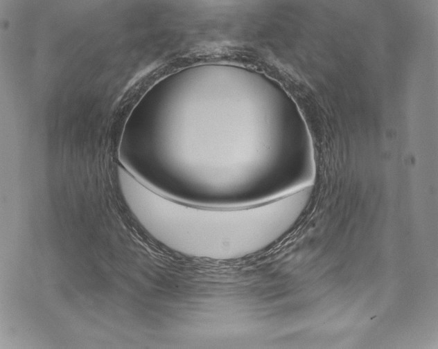 X0000073861206200608101019