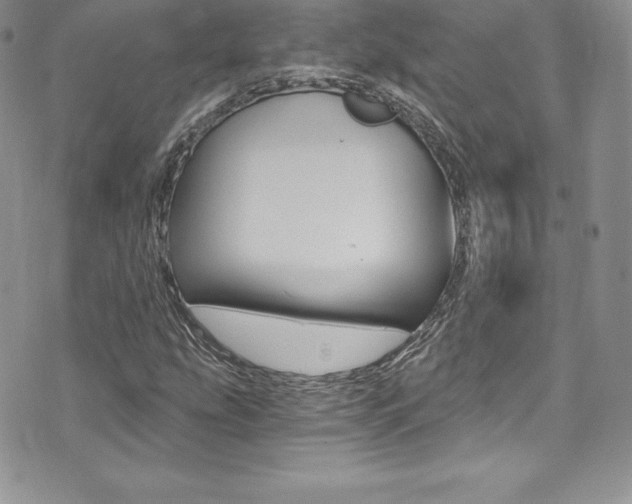 X0000073861207200608101019