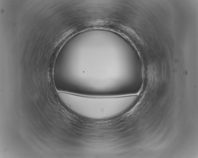 X0000073861209200608101019