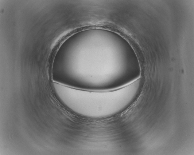 X0000073861214200608101019