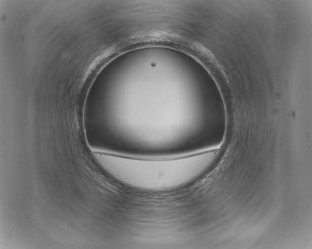X0000073861218200608101019