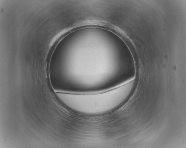 X0000073861222200608101019