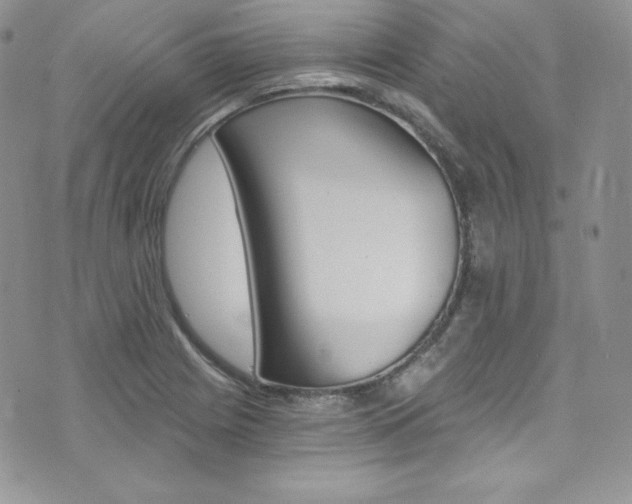 X0000073861225200608101019