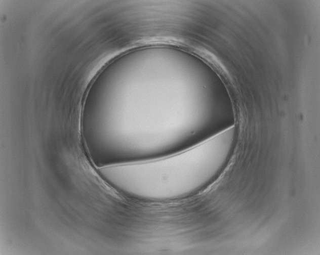 X0000073861228200608101019