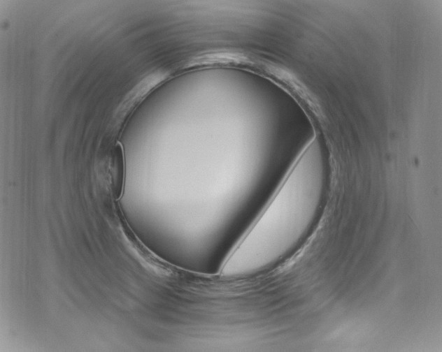 X0000073861233200608101019