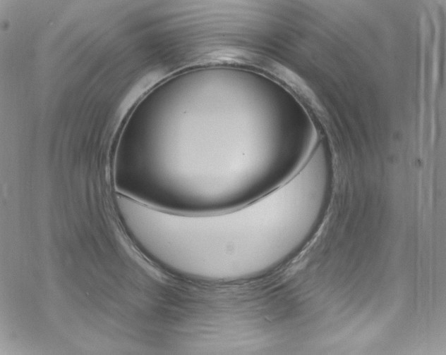 X0000073861234200608101019