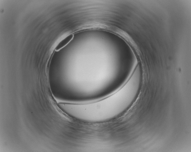 X0000073861242200608101020