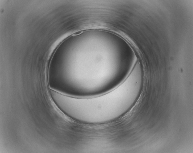 X0000073861246200608101020