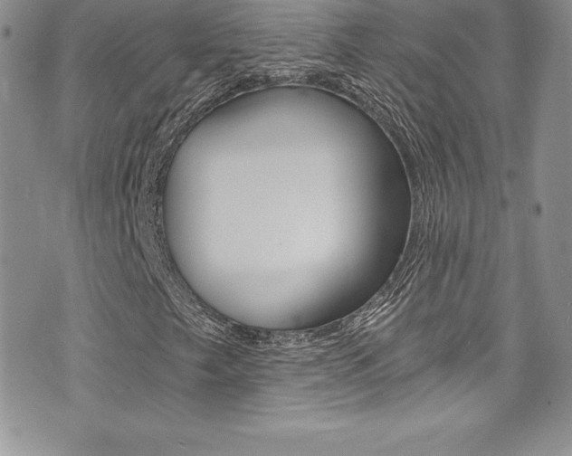 X0000073861249200608101019