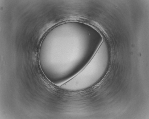 X0000073861260200608101019
