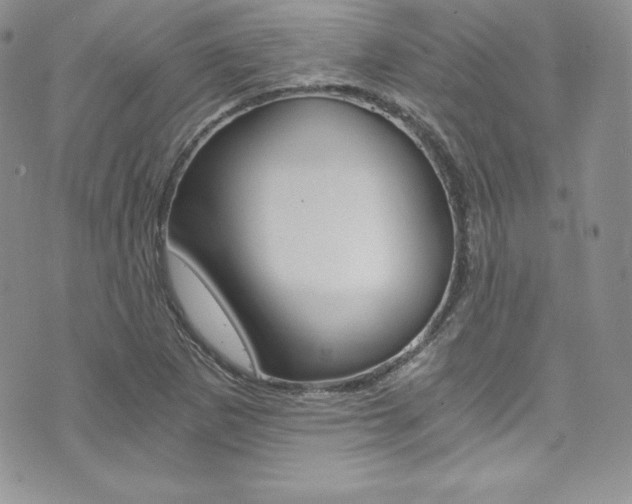 X0000073861265200608101019