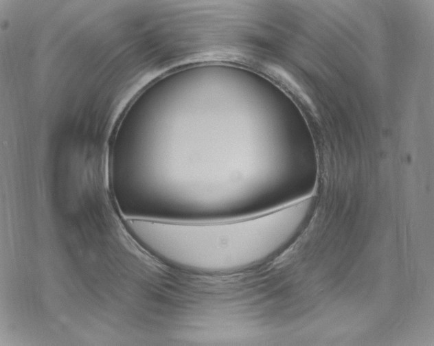 X0000073861276200608101018