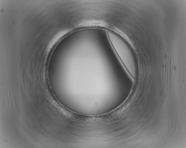 X0000073861277200608101018