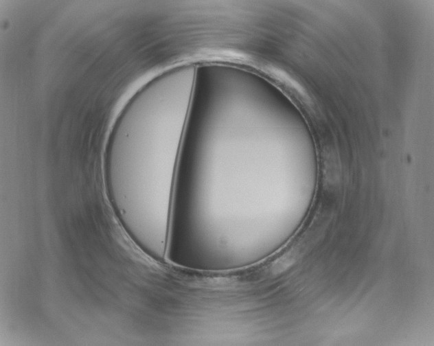 X0000073861280200608101018