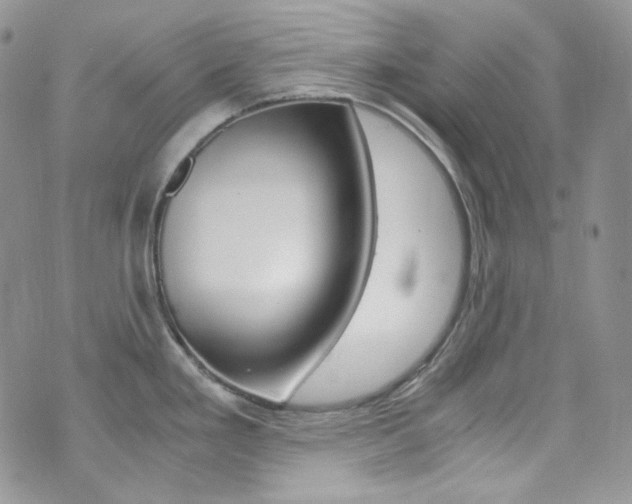 X0000073861293200608101018