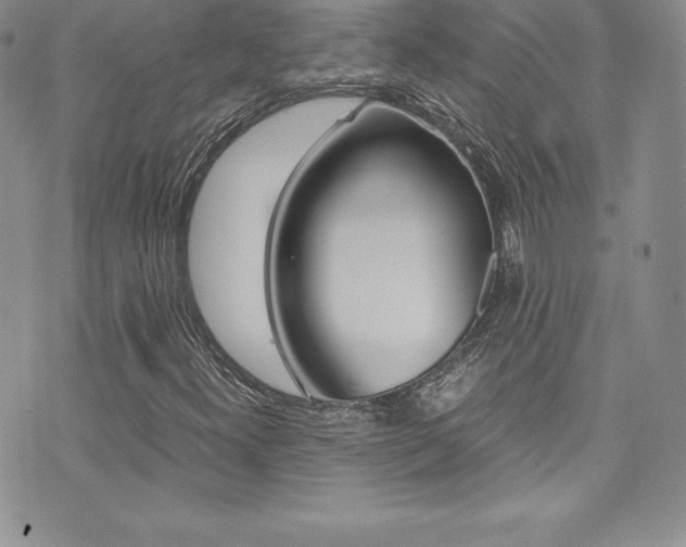 X0000073861300200608101017