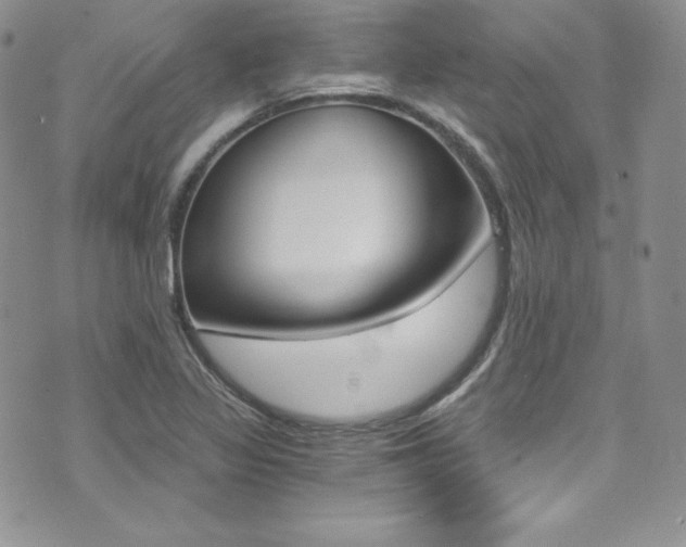 X0000073861317200608101018