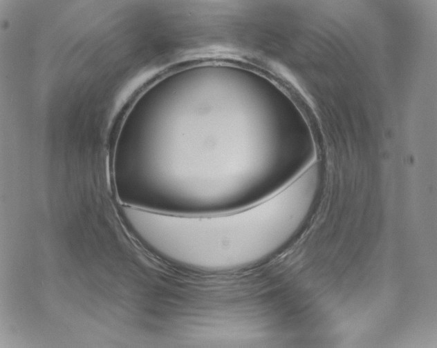 X0000073861320200608101018