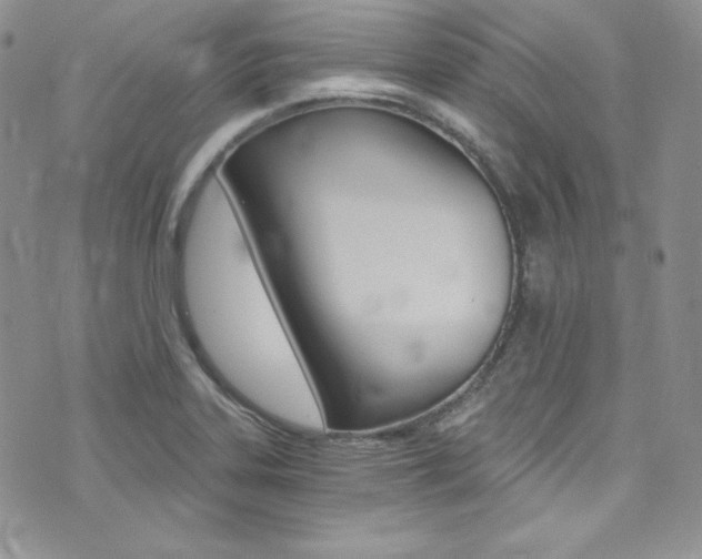 X0000073861323200608101018