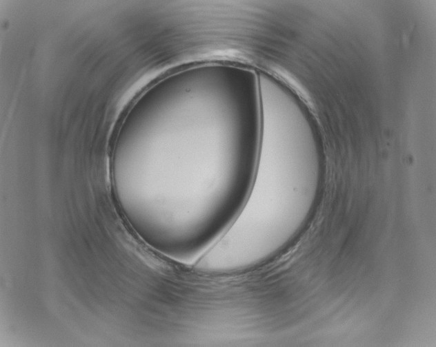 X0000073861324200608101018