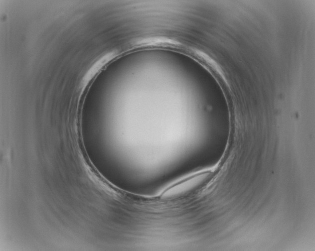 X0000073861330200608101018