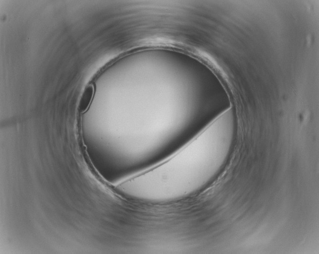 X0000073861331200608101018