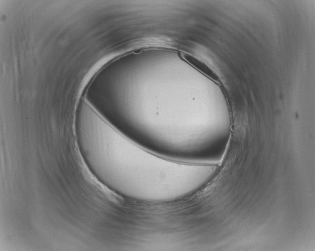 X0000073861339200608101018
