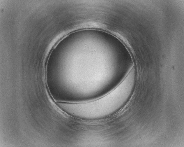 X0000073861342200608101018