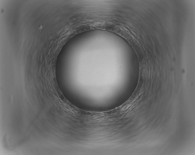 X0000073861345200608101017