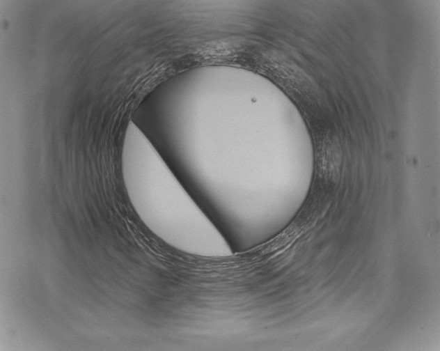 X0000073861346200608101017