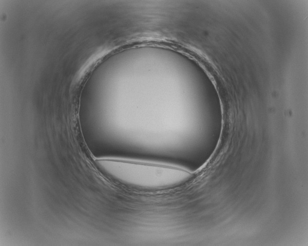 X0000073861359200608101017