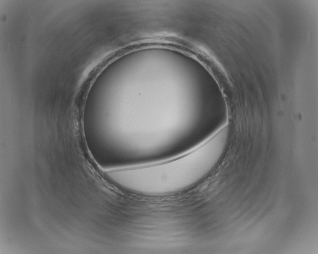 X0000073861360200608101017