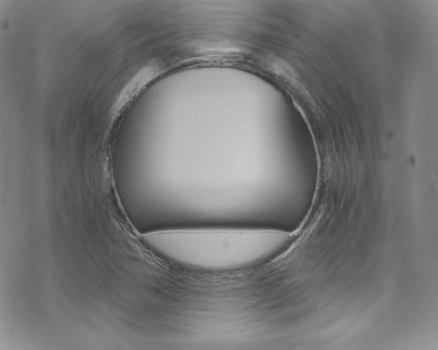 X0000073861362200608101017