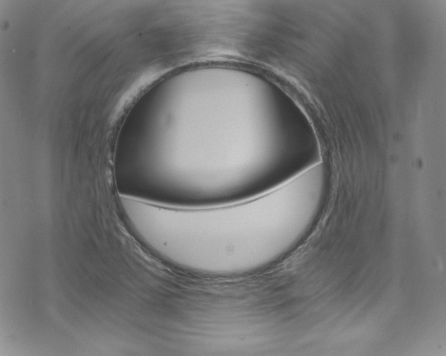 X0000073861363200608101017