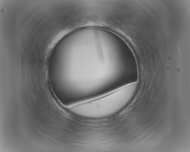 X0000073861367200608101017