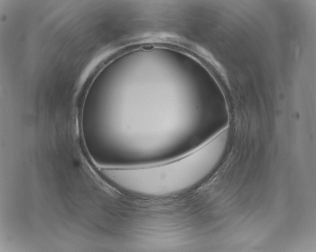 X0000073861368200608101017