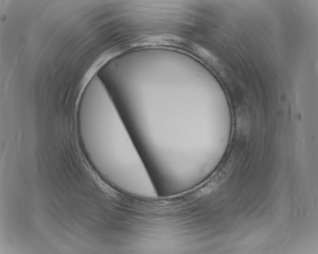 X0000073861370200608101017