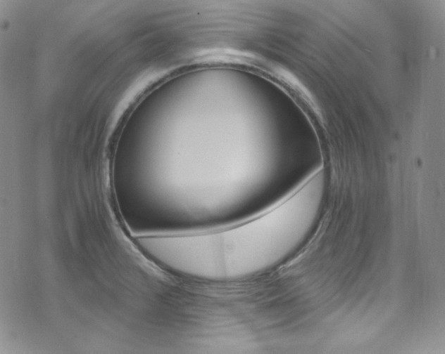 X0000073861376200608101017