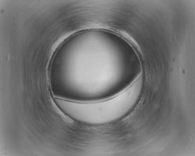 X0000073861380200608101017