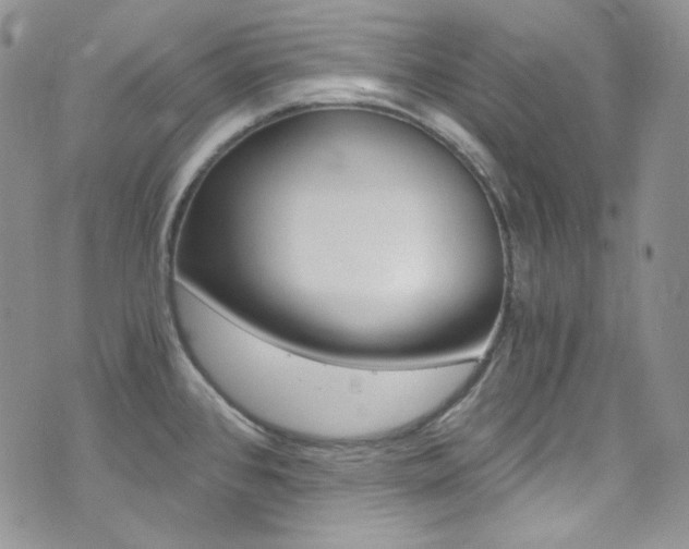 X0000073861384200608101017
