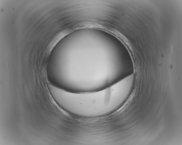 X0000073861385200608101017